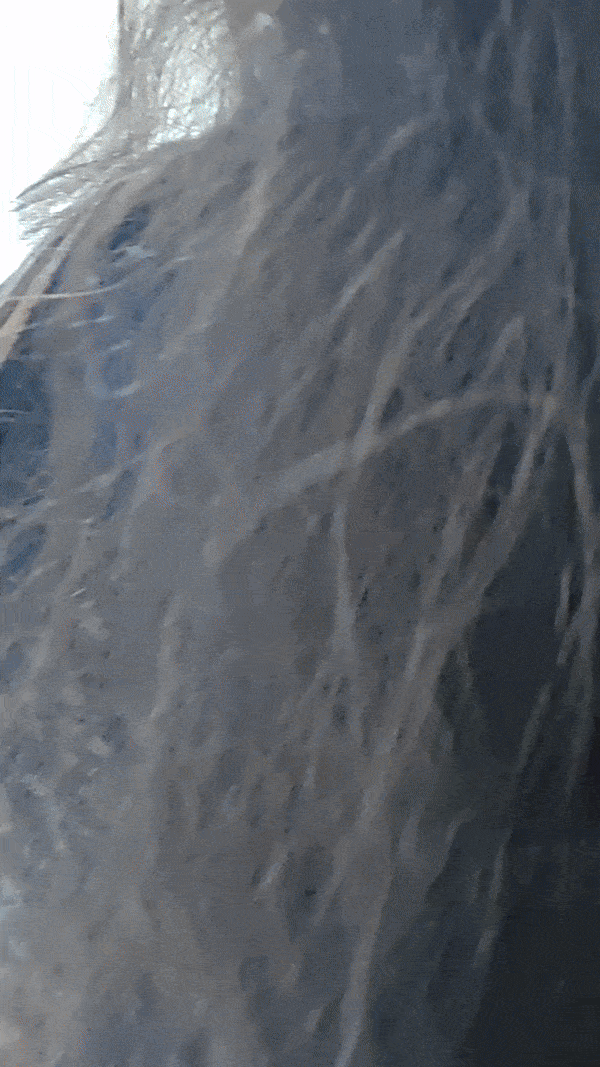 Washroom Opening & Closing