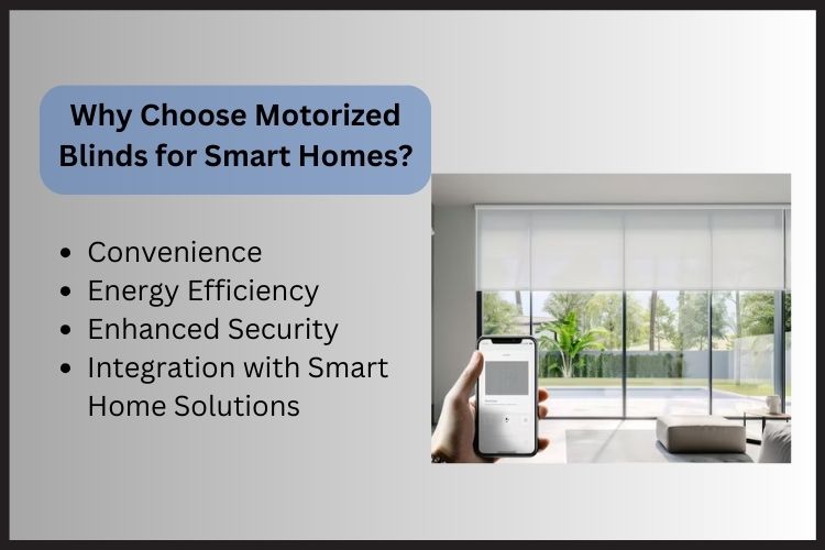 Best Motorized Blinds for a Smart Home